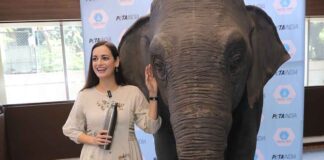 Launch: Dia Mirza Is the Voice of Ellie, A Life-Size Animatronic Elephant Visiting India’s Schools