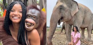 'Little Mermaid' star Halle Bailey slammed for posting photos with animals at zoo