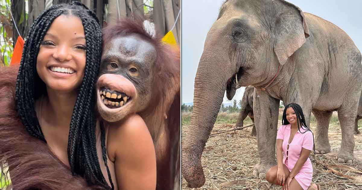 'Little Mermaid' star Halle Bailey slammed for posting photos with animals at zoo