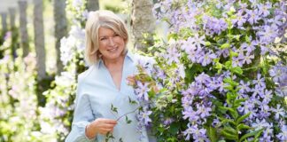 Martha Stewart Breaks Silence On Featuring On Sports Illustrated Swimsuit Cover At The Age Of 81; Read On
