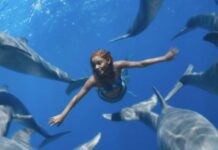 The Little Mermaid Box Office Prediction (Worldwide): All Set To Enjoy One Of The Best Memorial Day Weekends, Aiming A Start Of $150 Million+ The Little Mermaid Box Office Prediction (Worldwide)