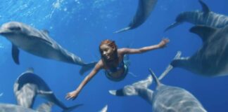 The Little Mermaid Box Office Prediction (Worldwide)
