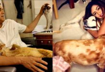 'Wagle Ki Duniya' stars Sumeet, Pariva open their dressing rooms for strays on set