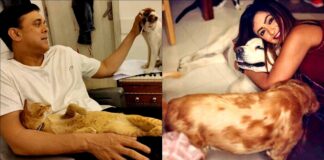 'Wagle Ki Duniya' stars Sumeet, Pariva open their dressing rooms for strays on set