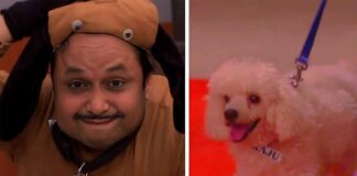 Cynophobic Happu Singh gets a furry friend in 'Happu Ki Ultan Paltan'