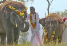 Goa Environmental Film Festival kicks off with 'The Elephant Whisperers'