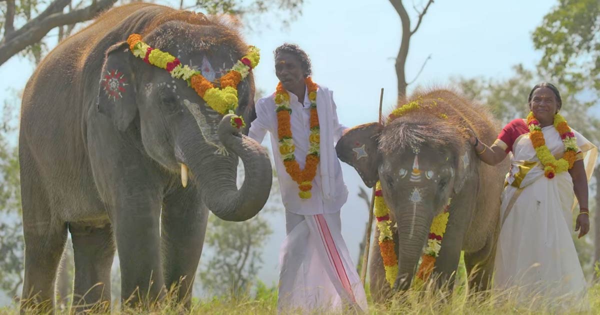 Goa Environmental Film Festival kicks off with 'The Elephant Whisperers'