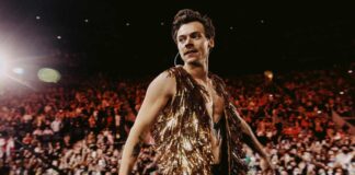 Harry Styles pauses Irish concert to help fan who had fallen over