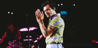 Harry Styles Gets Hit By A Mysterious Object In The Face During Vienna Concert, Angry Netizen React