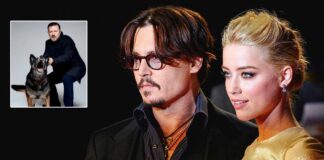 Johnny Deep & Amber Heard's Apology Video For Smuggling Her Two Dogs