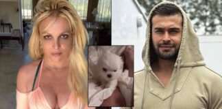 Britney Spears introduces new member in her family after split with Sam Asghari