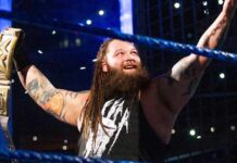 More Details About WWE Superstar Bray Wyatt's Death