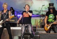 Guns n' Roses postpones concert due to 'illness'