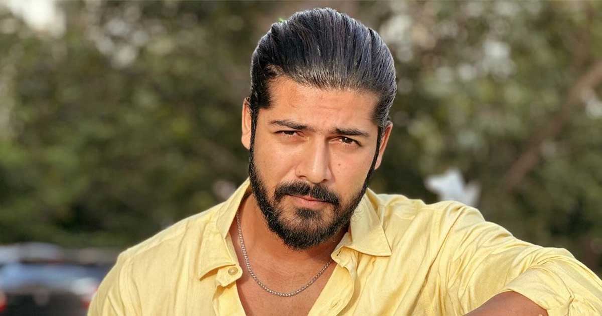 Sheezan Khan looks back at his acting journey, says he learnt on the way