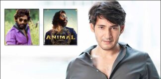 Allu Arjun's Pusha, Ranbir Kapoor Starrer Animal & More, DYK Mahesh Babu Rejected These Five Mega-Budget Movies?