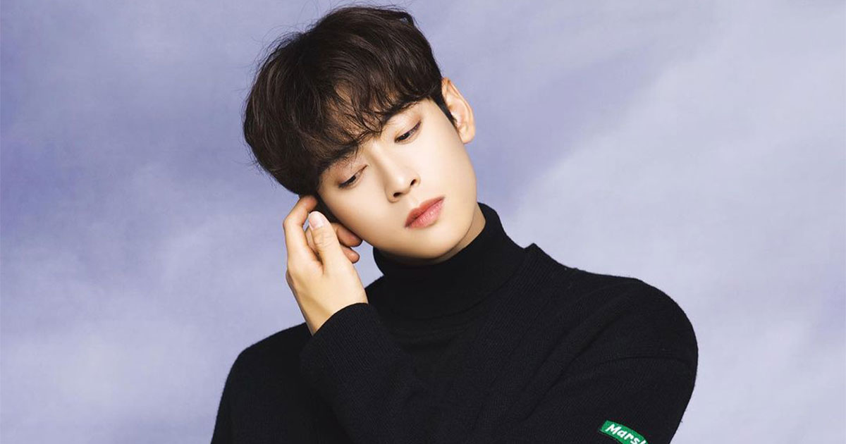 cha eun woo model