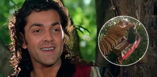 Bobby Deol Recalls Facing A Real-Life Wild Animal In The Siberian Tiger While Shooting For Barsaat In Italy