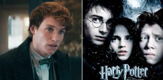 Harry Potter Trivia: Newt Scamander Was There During The Events Of Prisoner of Azkaban? - Watch!