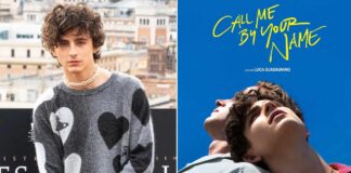 Timothee Chalamet Once Opened Up About A Weird Fan Encounter After His Love-Making Scene To A Peach From 'Call Me By Your Name' Went Viral!