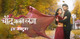Vishal Aditya Singh on 'Chand Jalne Laga': Post 'BB 13', was waiting to spearhead a love story