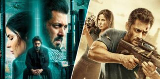 While Tiger 3 Continues To Bring In Numbers At The Indian Box Office, Let's Take A Look How Much Tiger Zinda Hai Had Earned