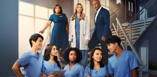 Grey's Anatomy Season 20: A Recap Of Season 19 & What To Expect From The Upcoming Season