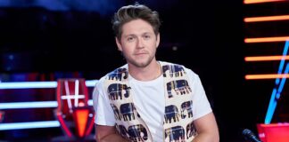How Much Is Niall Horan Earning From The Voice?