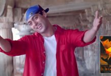 Salman Khan At The Box Office: When Bhaijaan Roared Like A Tiger Delivering Top Three HGOTY In The Year 1999 With A 110+ Crore Collection!