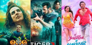 Tiger 3 Box Office Collection (Worldwide)