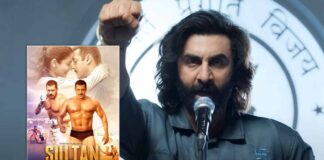 Animal Box Office Worldwide: Ranbir Kapoor Eyes Two Targets - Salman Khan's Sultan & 600 Crore Club!