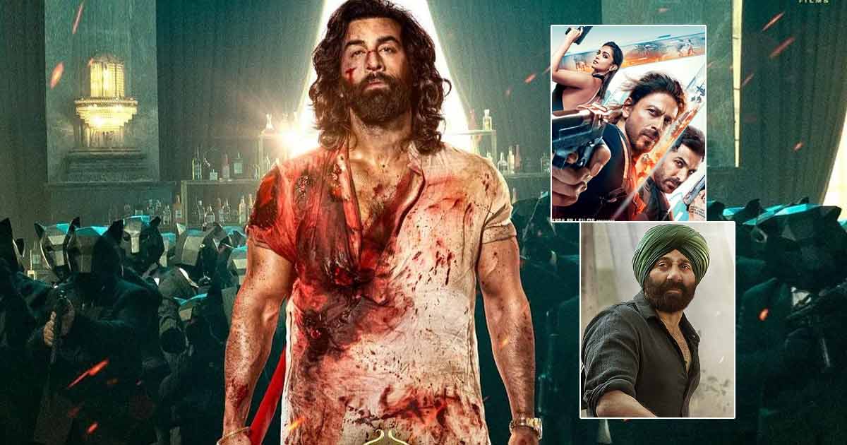 Box Office - Animal is the second fastest film ever to enter 500 Crore Club, is ahead of Pathaan and Gadar 2