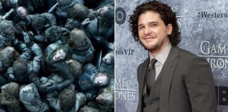Kit Harrington Once Revealed How He Had To Face His Biggest Fears On Game Of Thrones - Here's What Happened Next!