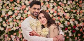 Shoaib Malik & Sana Javed Net Worth 2024