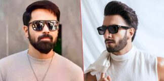 Don 3 Villain Update