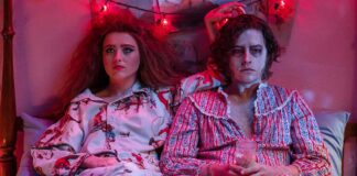 All About Lisa Frankenstein movie.