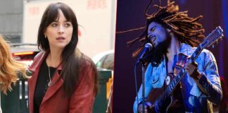 North American Box Office Projection Of Madame Web & Bob Marley: One Love