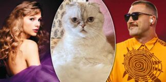 Taylor Swift's Cat Olivia Benson Has A Higher Net Worth Than Her Boyfriend, Travis Kelce