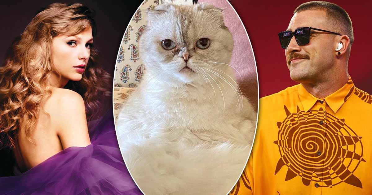 Taylor Swift's Cat Olivia Benson Has 142.5% Higher Net Worth Than Travis  Kelce - Here's The Maths!