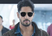 Yodha Box Office Collection Day 5: Stays At The Same Levels As Monday On Tuesday Yodha stays at the same levels as Monday on Tuesday