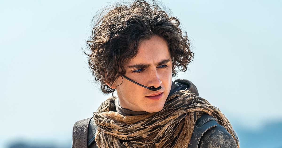 Timothée discount chalamet movies