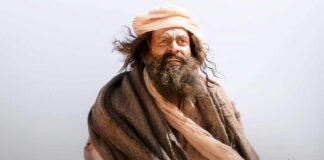 Aadujeevitham - The Goat Life Box Office Collection Day 6 - 1st Tuesday