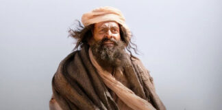 Aadujeevitham - The Goat Life Box Office Day 7 (1st Wednesday Collections)