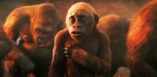 Box Office - Godzilla x Kong: The New Empire hits 1 crore mark for the last time in its run on Sunday