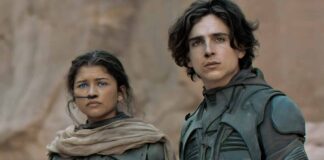 Dune 2 Box Office Collection (Worldwide)