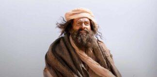Aadujeevitham—The Goat Life At The Worldwide Box Office (After 47 Days)