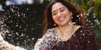 Aranamanai 4 Daily Box Office