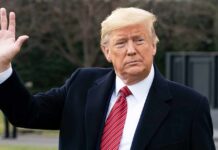 Donald Trump’s team hits the Cannes biopic “The Apprentice” with Cease & Desist Demand, Here’s why