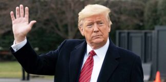 Donald Trump’s team hits the Cannes biopic “The Apprentice” with Cease & Desist Demand, Here’s why