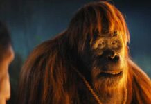 Kingdom of the Planet of the Apes Box Office Collection (Global): With $131.2 Million Makes An All Time Record For The Franchise Claiming Top Spots In UK, Ireland!