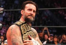 Net Worth Of WWE Superstar CM Punk